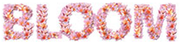 Bloomfashion